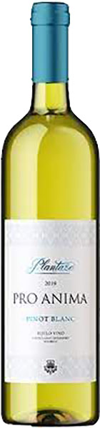 Slika za Vino bijelo Plantaže Pro anima pinot blanc 0,75L.